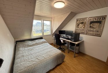 Charmant appartement de 5.5 pièces au coeur de Renens