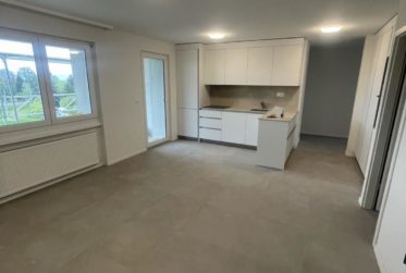 Magnifique appartement 3.5 pièces rénové avec grand jardin à Estavayer