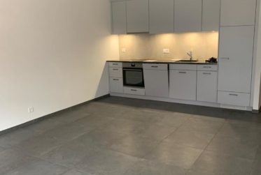 Magnifique 2.5 pièces au coeur de Leytron