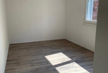 Magnifique 2.5 pièces neuf avec vue dégagée