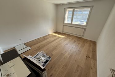 Dernier lot ! 3.5 pièces rénové avec grand jardin à Estavayer