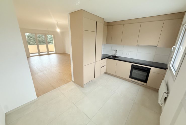 Appartement 3.5 pièces entièrement rénové au coeur de Payerne